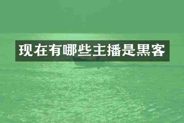 现在有哪些主播是黑客