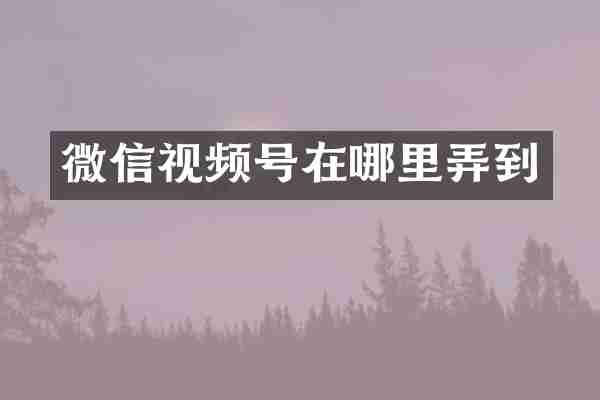 微信视频号在哪里弄到