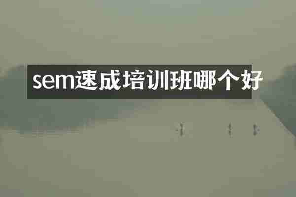 sem速成培训班哪个好