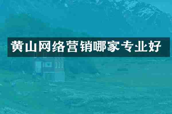 黄山网络营销哪家专业好