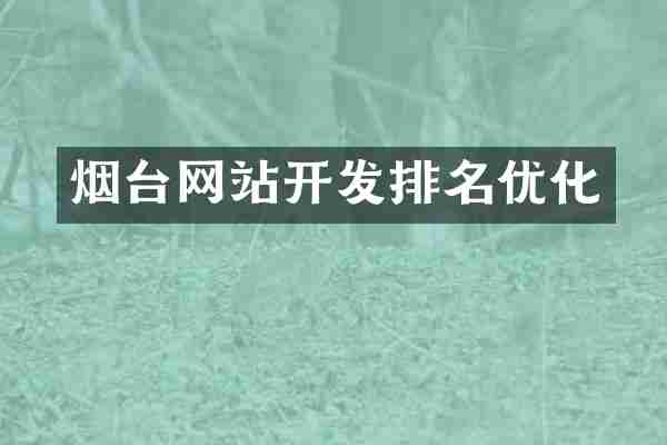 烟台网站开发排名优化