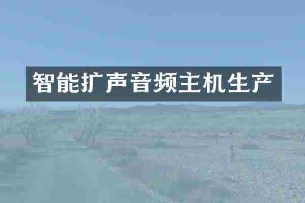 智能扩声音频主机生产
