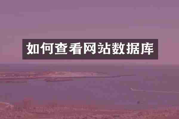 如何查看网站数据库
