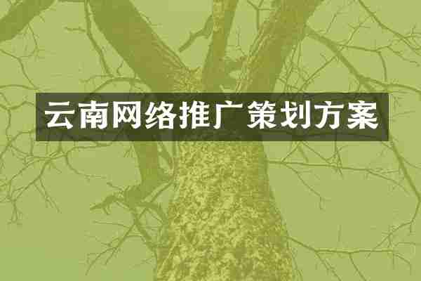 云南网络推广策划方案