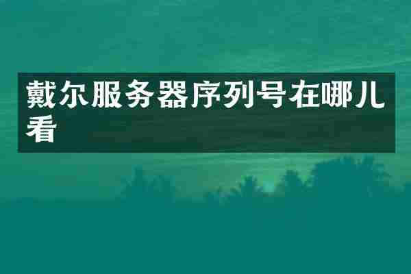 戴尔服务器序列号在哪儿看