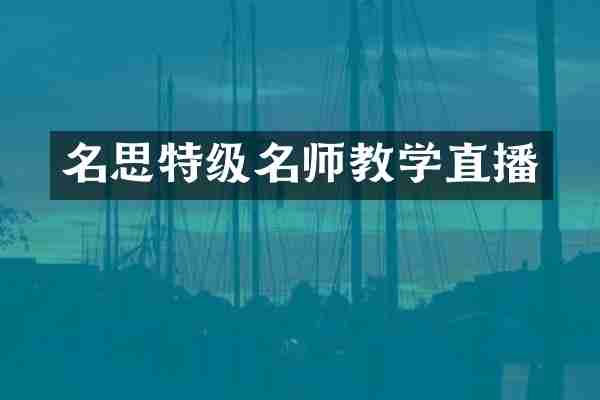 名思特级名师教学直播