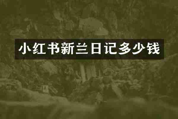 小红书新兰日记多少钱