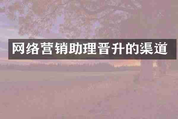 网络营销助理晋升的渠道