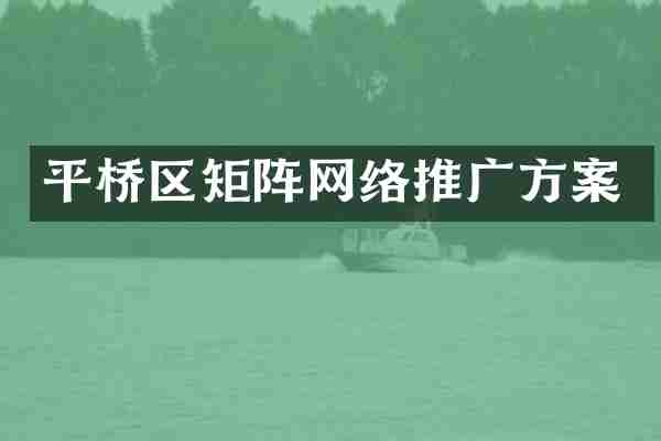 平桥区矩阵网络推广方案