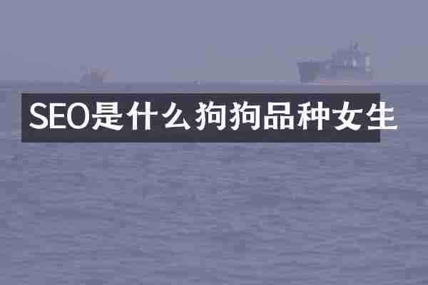 SEO是什么狗狗品种女生