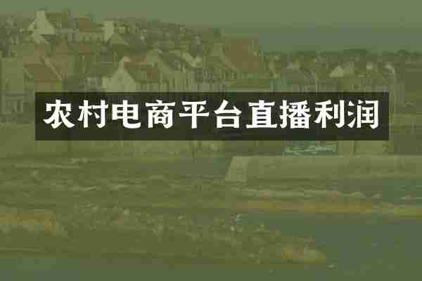 农村电商平台直播利润