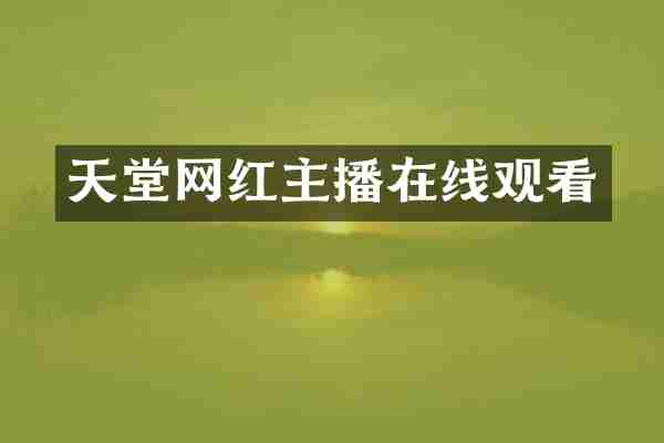 天堂网红主播在线观看