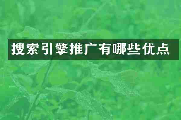 搜索引擎推广有哪些优点