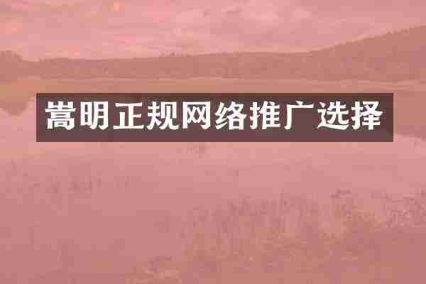 嵩明正规网络推广选择