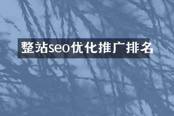 整站seo优化推广排名