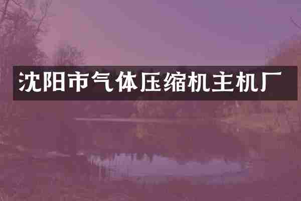 沈阳市气体压缩机主机厂