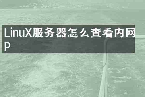 LinuX服务器怎么查看内网 p