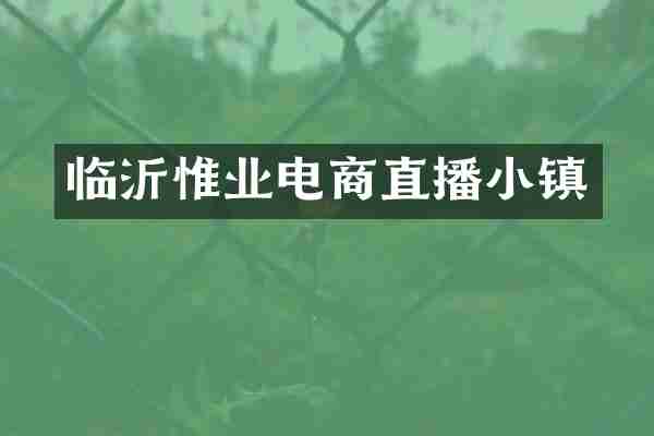 临沂惟业电商直播小镇