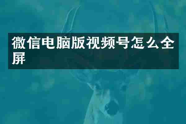 微信电脑版视频号怎么全屏