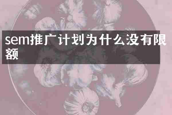 sem推广计划为什么没有限额