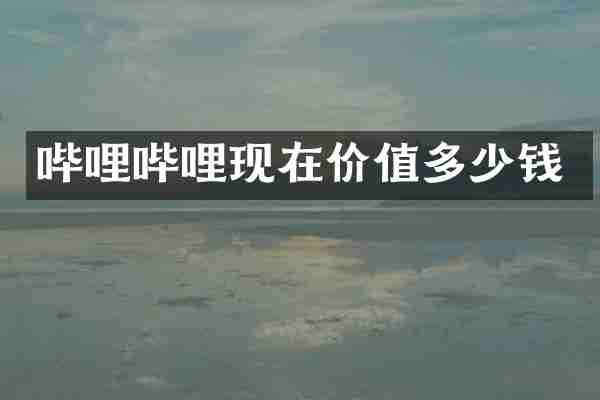 哔哩哔哩现在价值多少钱
