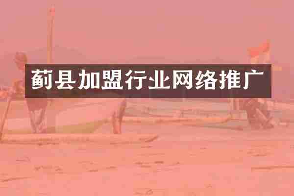 蓟县加盟行业网络推广