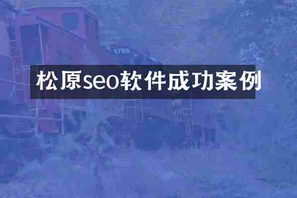 松原seo软件成功案例