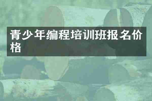 青少年编程培训班报名价格