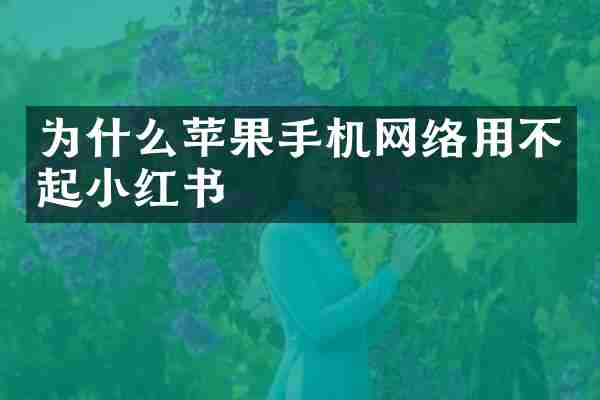 为什么苹果手机网络用不起小红书