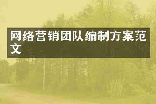 网络营销团队编制方案范文