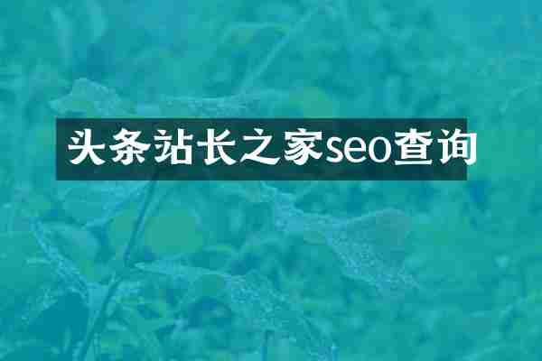 头条站长之家seo查询
