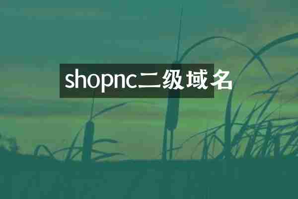 shopnc二级域名