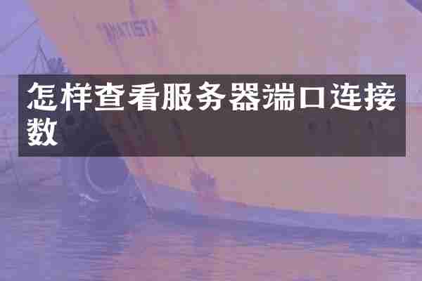 怎样查看服务器端口连接数