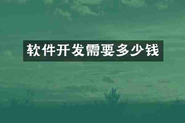 软件开发需要多少钱