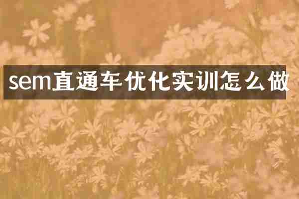 sem直通车优化实训怎么做