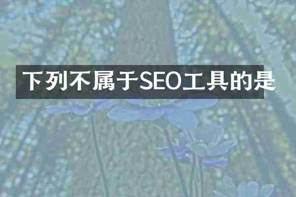 下列不属于SEO工具的是