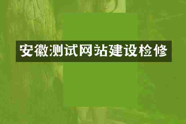 安徽测试网站建设检修
