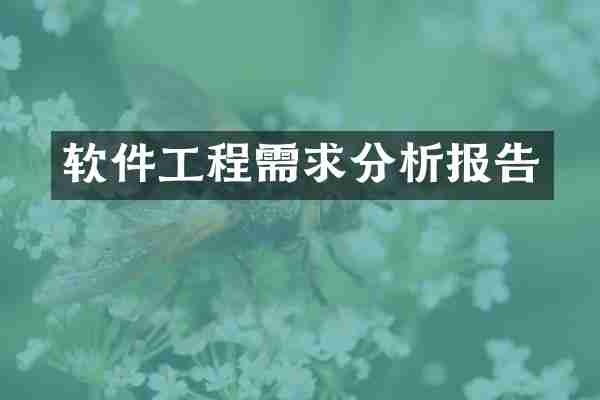 软件工程需求分析报告