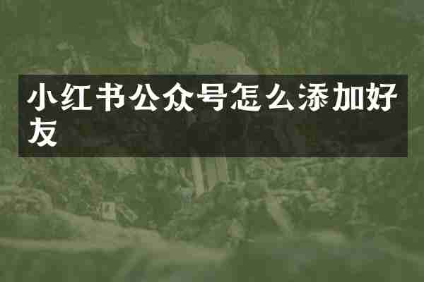 小红书公众号怎么添加好友