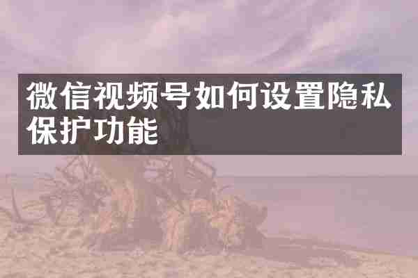 微信视频号如何设置隐私保护功能