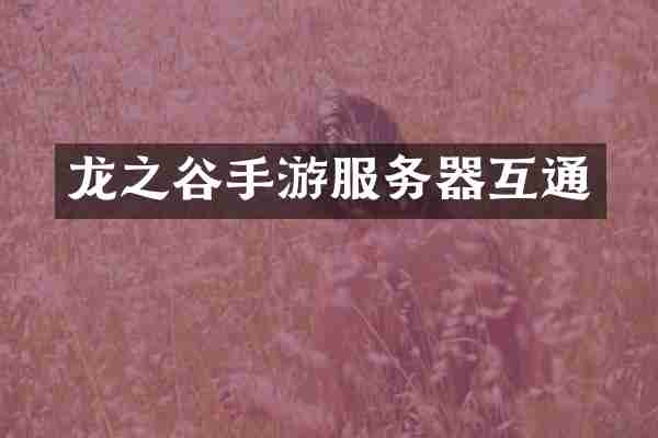 龙之谷手游服务器互通