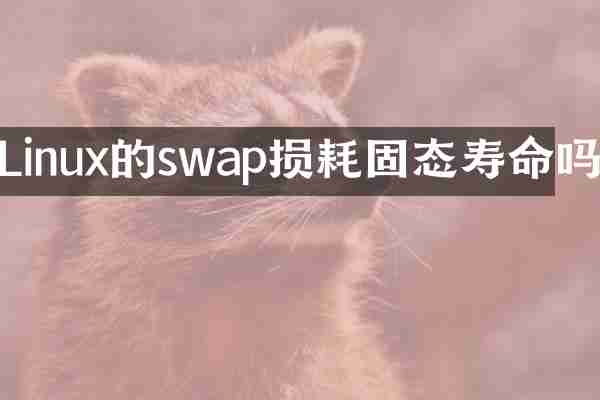Linux的swap损耗固态寿命吗