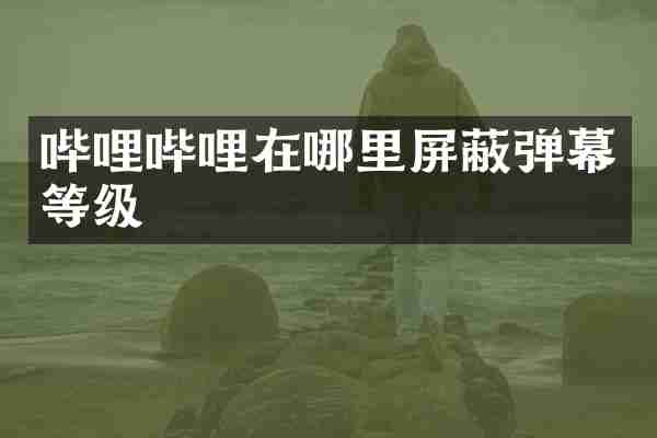 哔哩哔哩在哪里屏蔽弹幕等级