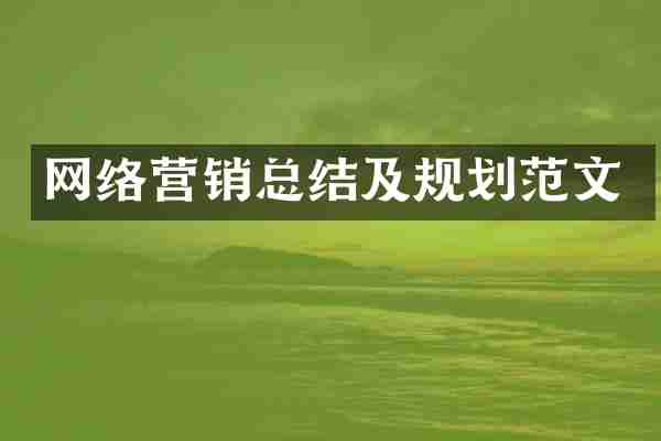 网络营销总结及规划范文