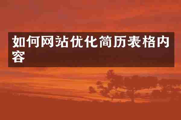 如何网站优化简历表格内容