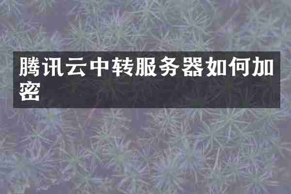 腾讯云中转服务器如何加密