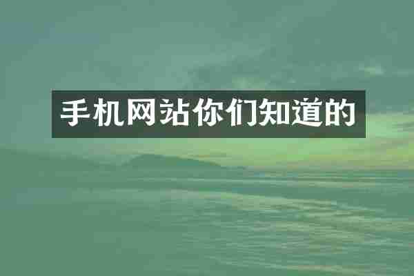 手机网站你们知道的