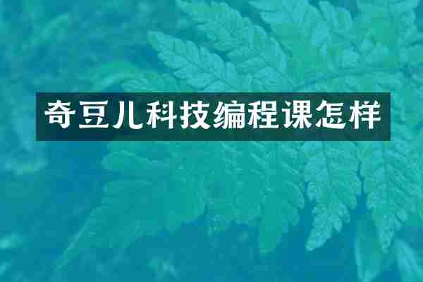 奇豆儿科技编程课怎样