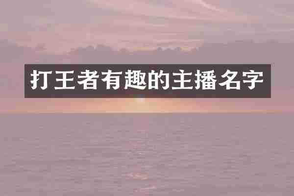 打王者有趣的主播名字