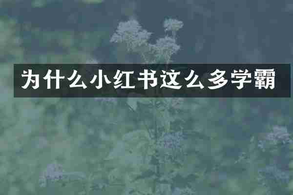 为什么小红书这么多学霸